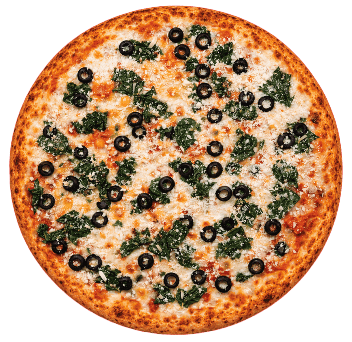 เรดอิตาเลียน - Gallery Pizza Bangkok